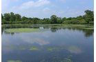Pond on a farm in Lake County, Indiana - LAND AUCTION - 147+/- ACRES OFFERED IN 3 TRACTS IN LAKE COUNTY, INDIANA